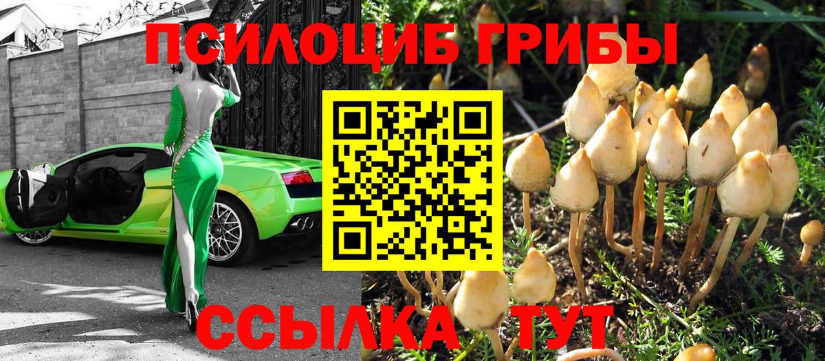 Псилоцибиновые грибы MAGIC MUSHROOMS Фролово